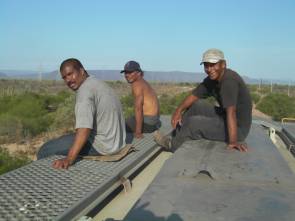 Pic: "Three Mexican tramps on sunny deck" - © 2010 Bo Keeley - Size: 10k