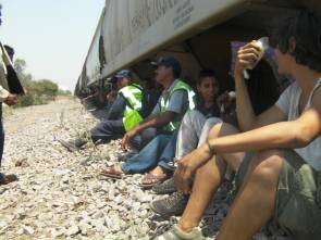 Pic: "Enjoying the shade of a hopper" - © 2010 Bo Keeley - Size: 14k